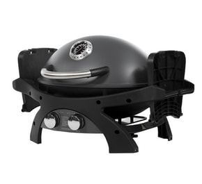 Портативний газовий гриль Pit Boss Sportsman 2B